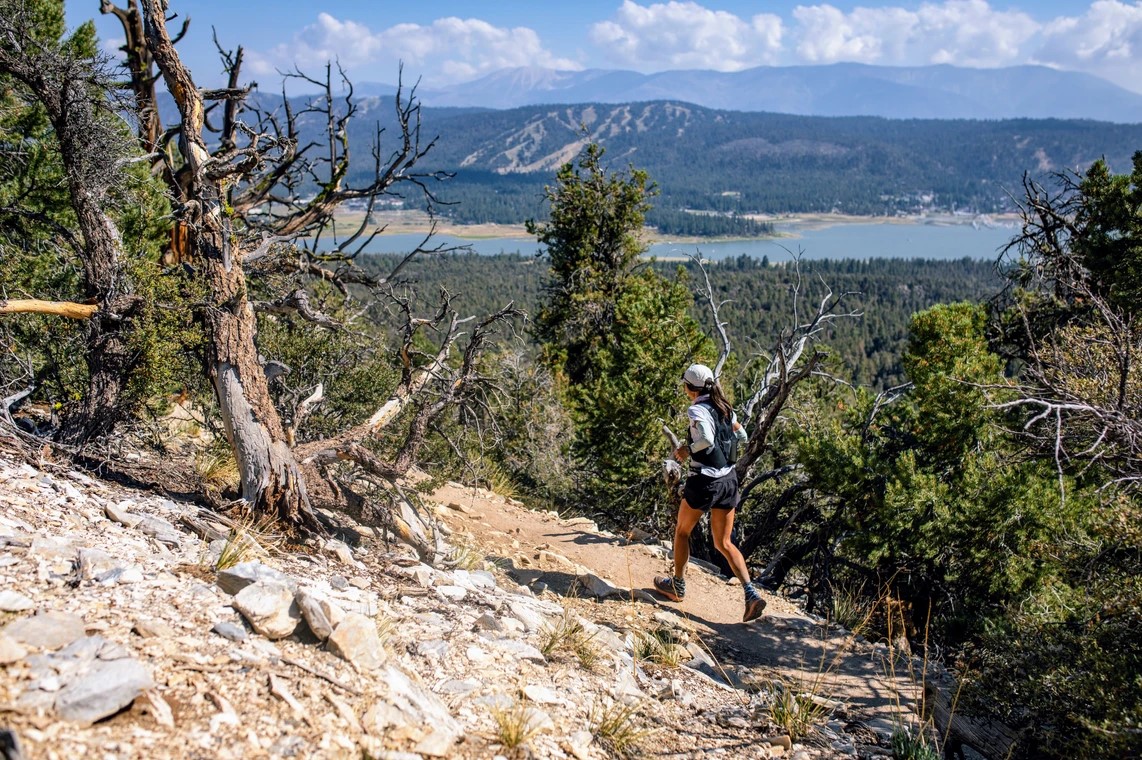 Holcomb Valley Trail Run