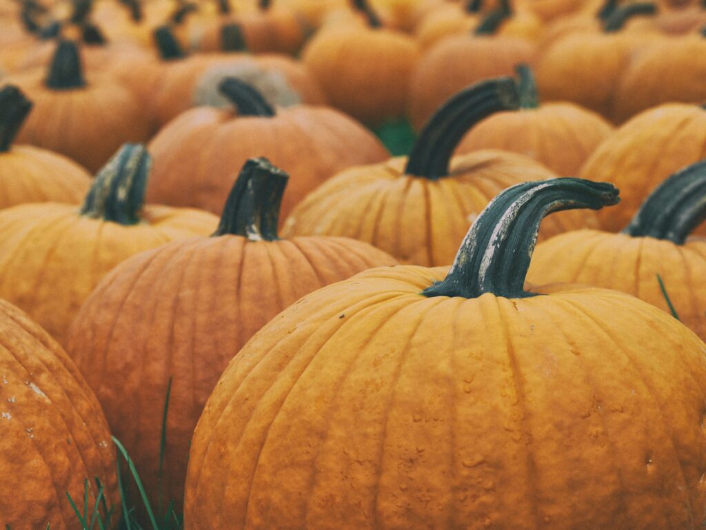 Pick pumpkins in the fall in Big Bear