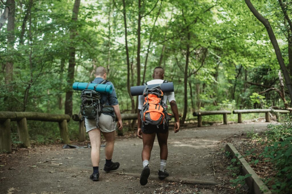 Hikers walking a trail