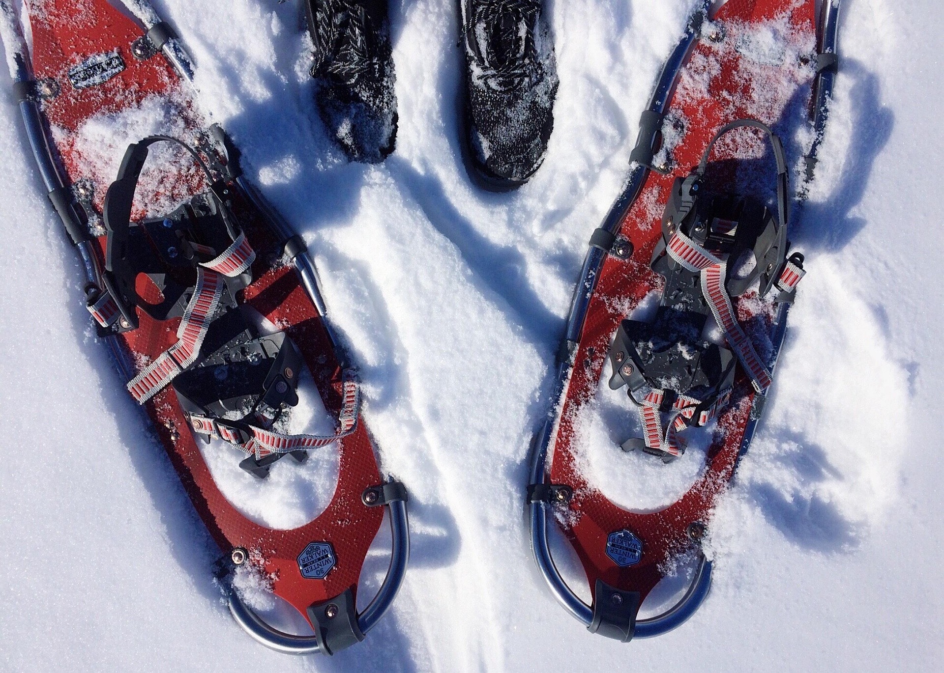 Enjoy snowshoe Big Bear tours