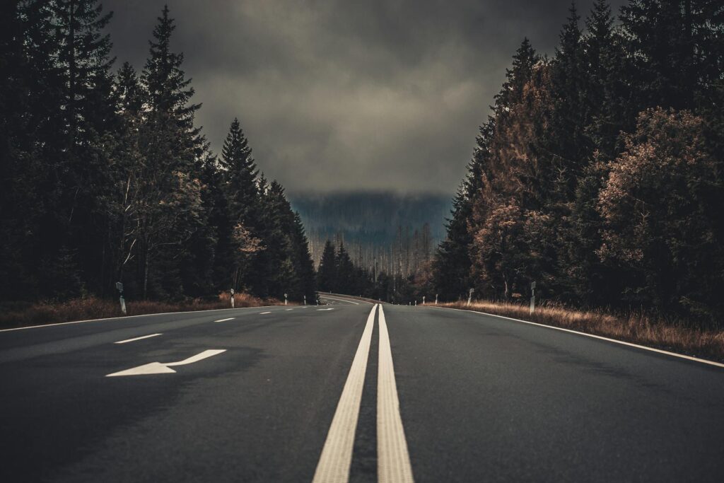A highway passing by trees